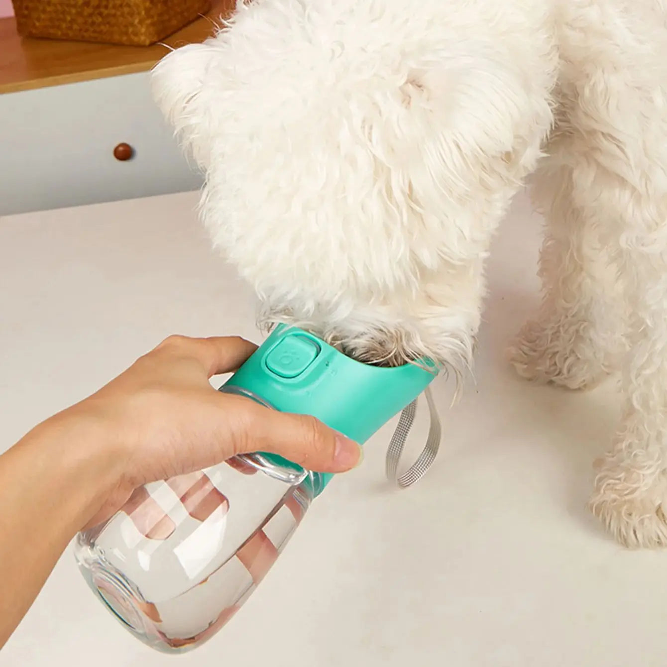 TrailMate Portable Dog Water Bottle